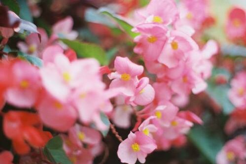 川が流れるように感情を表現する スピリチュアルカウンセリングやスピリチュアルセラピーは横浜元町 レムリアの虹